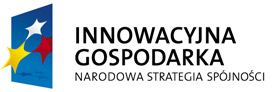 Innowacyjna Gospodarka - Narodowa Strategia Spójności